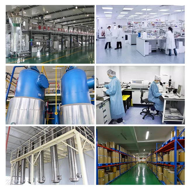 AUVO  OEM Factory Supply 98% Dried Apricot Fruit extract Powder Natural 	10:1 apricot fruit powder