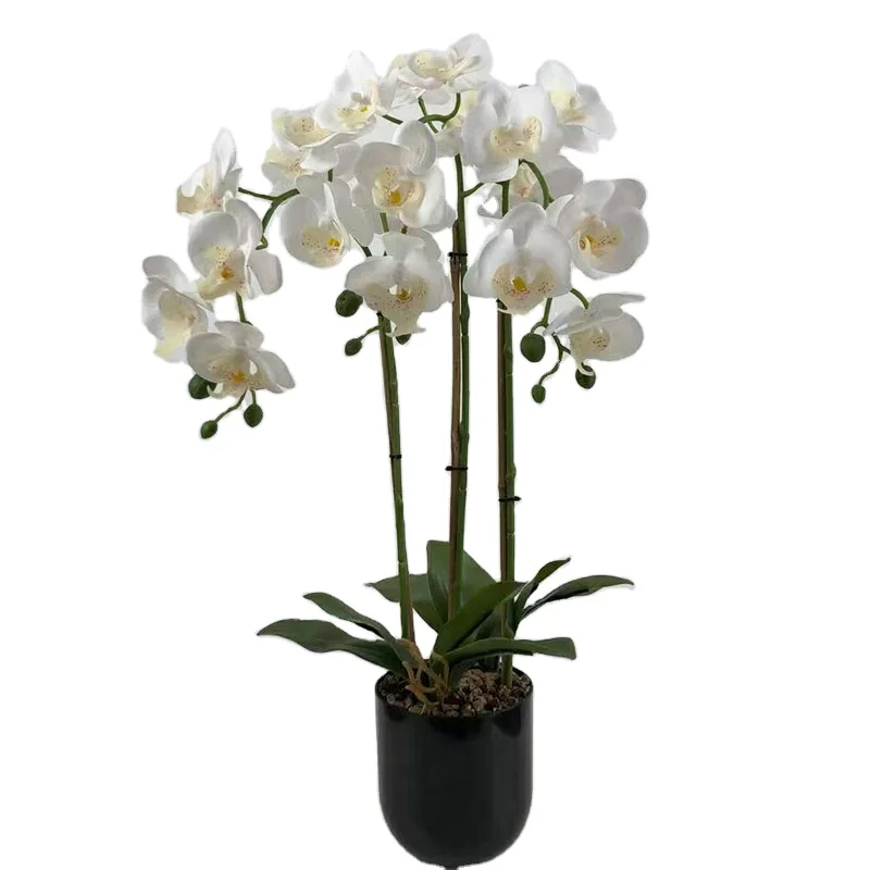 Lusiaflower, высокое качество, заводская цена, можно настроить горшечные растения орхидеи, а высота и количество головок можно настроить