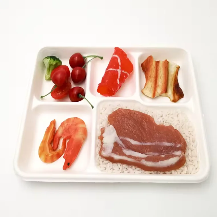 Biodegradable compostable food tray sugarcane bagasse fiber 5 compartments tray with lid