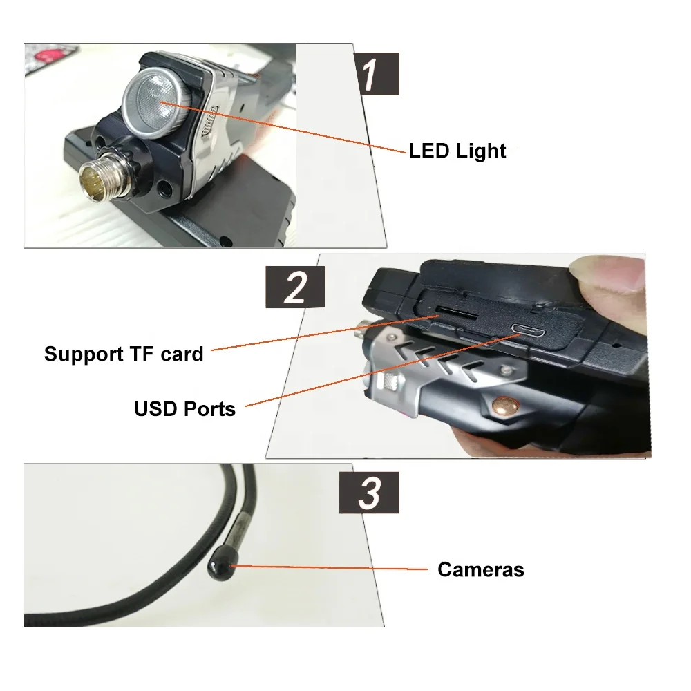 To prevent termite  detector medicine one nest end to kill termites