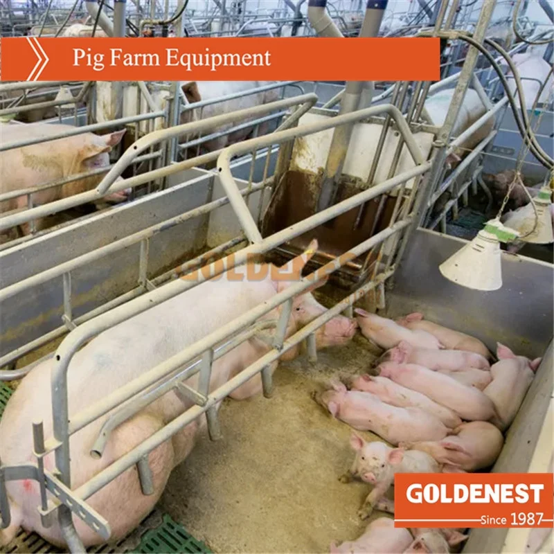 pig raising equipment / pig feeding equipments