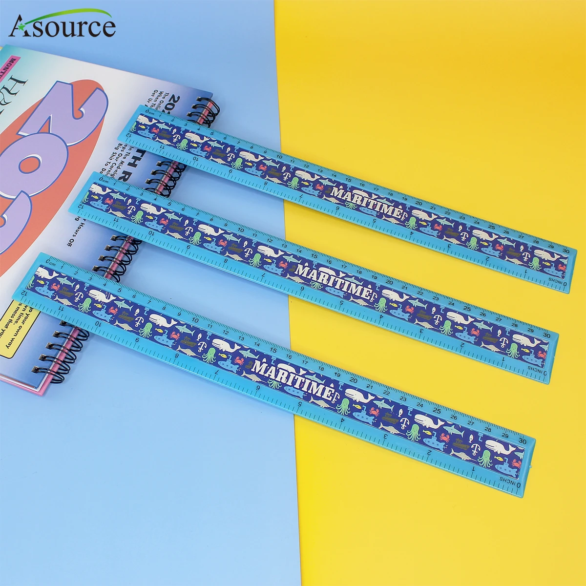 New Design Marine Ruler 30CM Custom School Ruler