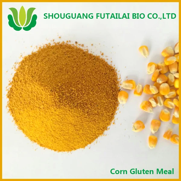 
Extracting price corn protein powder corn gluten meal 60 protein animal additive price factory China manufacturer moisture 10 