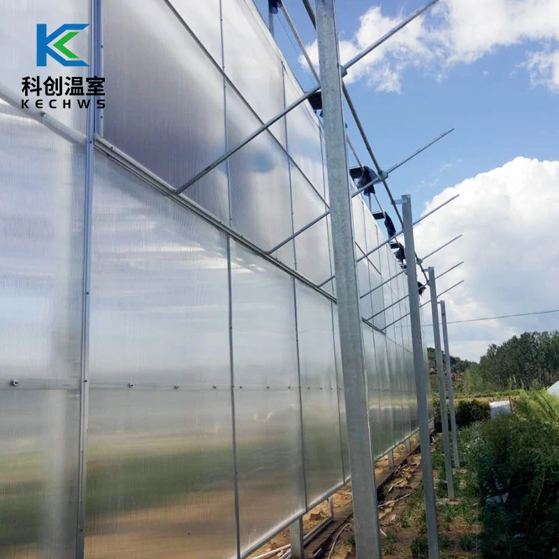 High Quality Low Price Film Energy Saving Solar Greenhouse