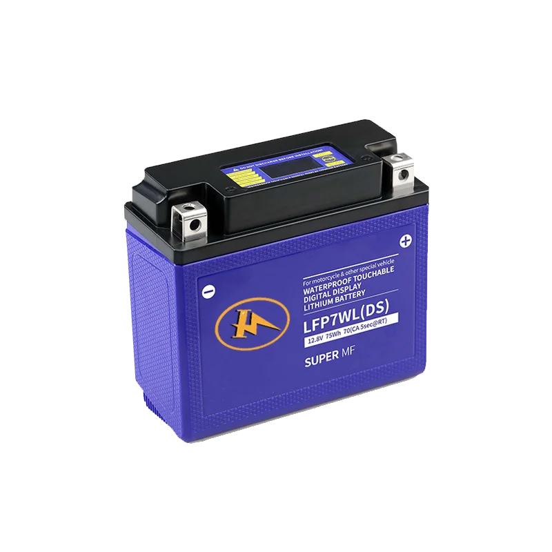 OEM/ODM Customizable Deep Cycle  Featherweight Ideal Replacement Backup Lithium Battery