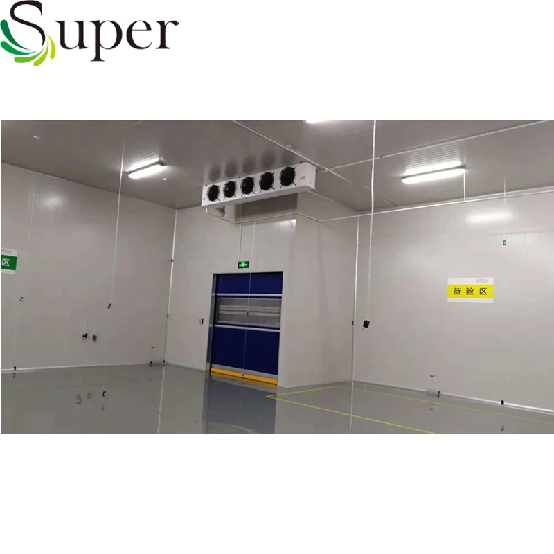 
Used Blast Freezer Fish Meat Chicken Cold Room for Sale 