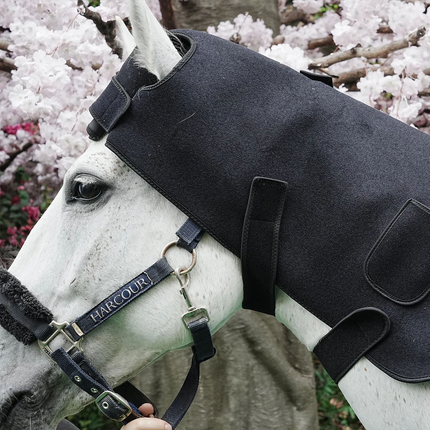 SODOLUX Led Red Light Near Infrared Light Pet 660nm 850nm Lamp Horse Red Light Therapy Pad Machine For Horse Back