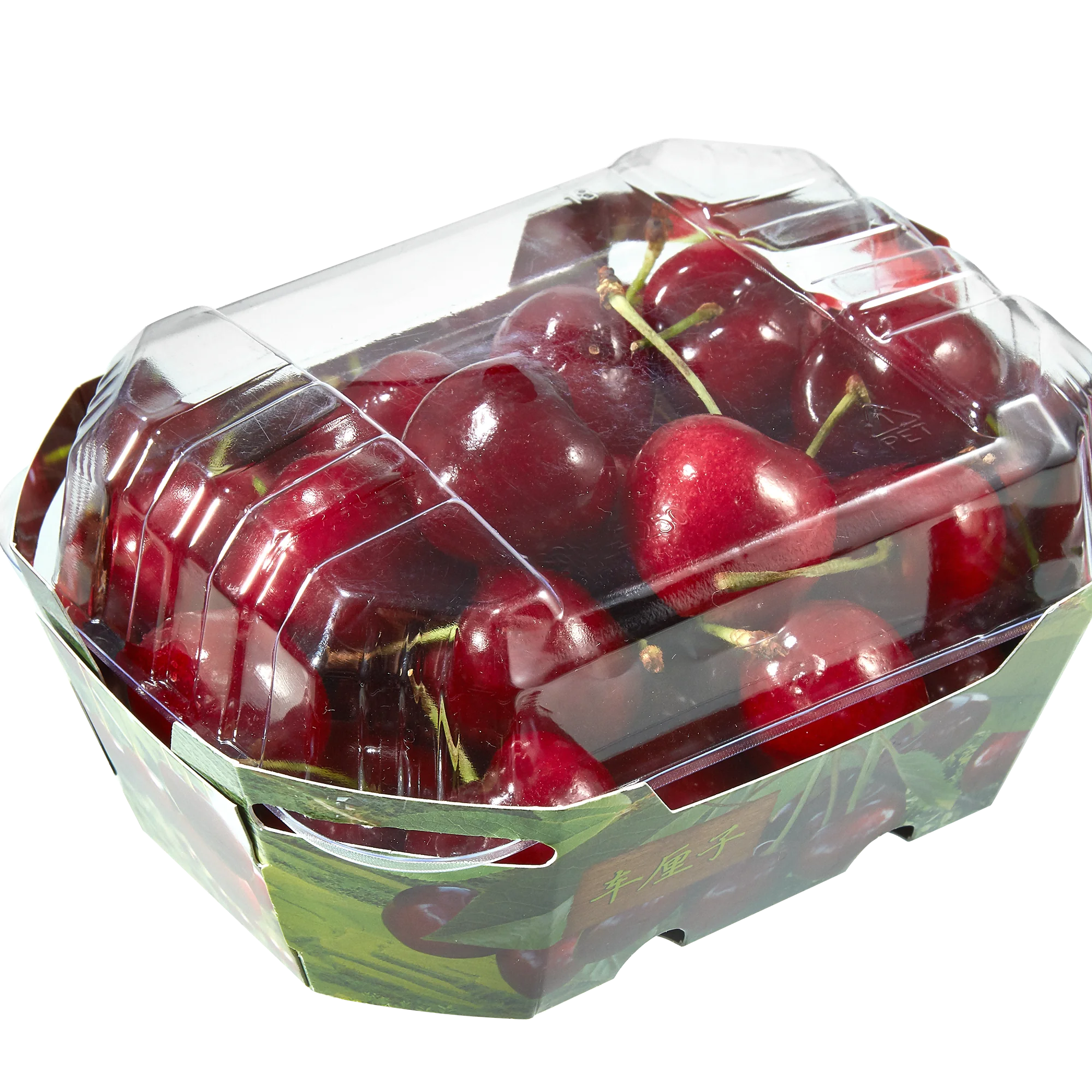 Popular Disposable PET Plastic Packing Cardboard Tray Hinged Lid Clamshell Punnet fruit packaging