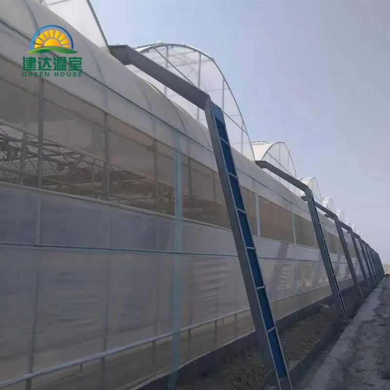 made in china SUNSGH greenhouse low price Multi-Span Agricultural PO film greenhouse china green house