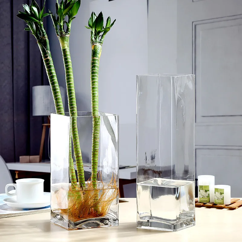 Modern Square Glass Vase Rich Bamboo Flower Arrangement Hydroponic Home Vase Transparent Vase