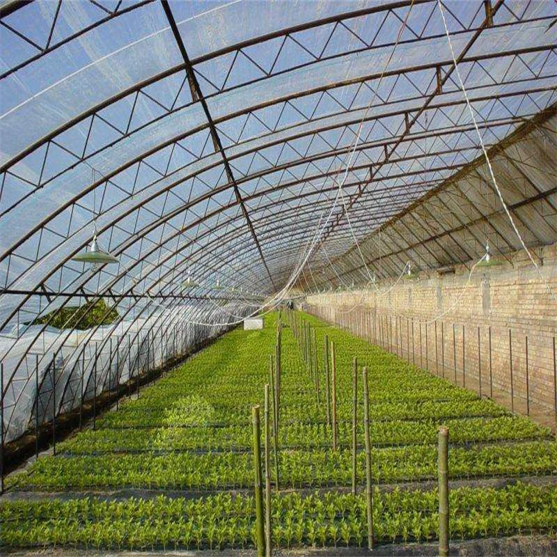 
Mulching Po Greenhouse Breeding of agricultural films 