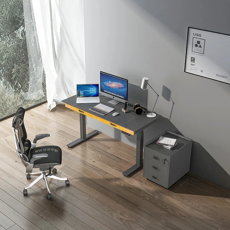 Dual Motor Sit Stand Desks With Drawer Home Office Electronic Intelligent Height Adjustable Standing Desk