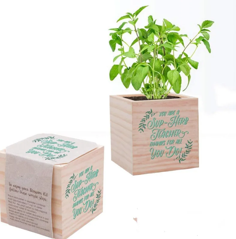 plant Cube Appreciation Gift and Wooden Planter - Employee Teacher Thank You  Desk Accessory