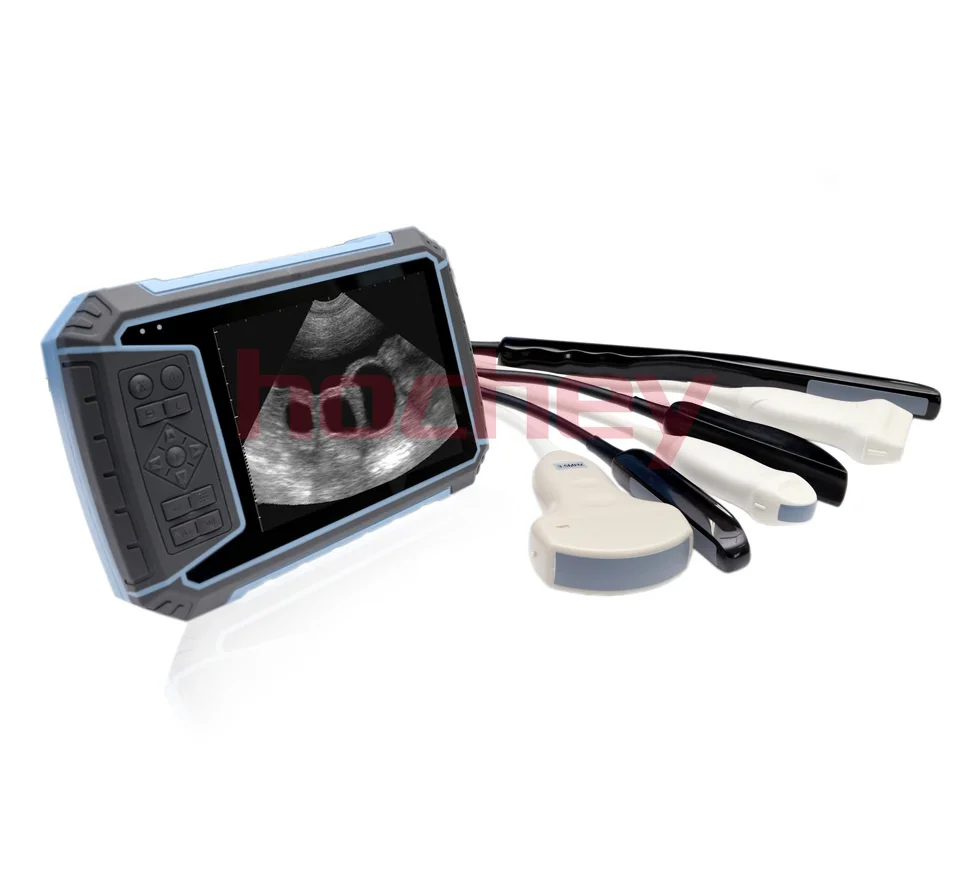 MT MEDICAL Ultrasound Scanner Machine Horse Cattle Cow Portable Ultrasonido Portatil  Bovinos Veterinary Ultrasound for Bovines