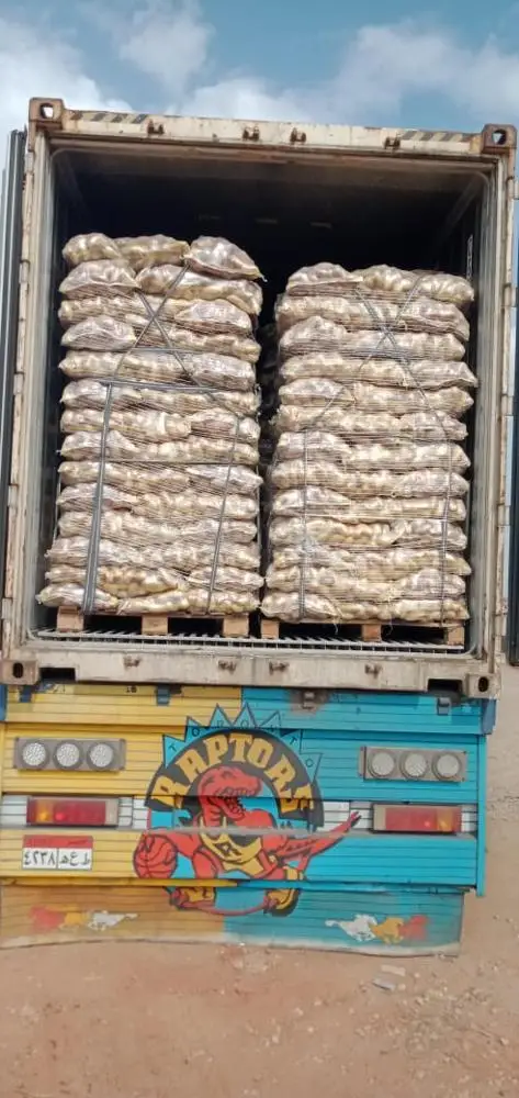 Fresh Potato, Potatoes , Spunta , Washed, Clean Potatoes