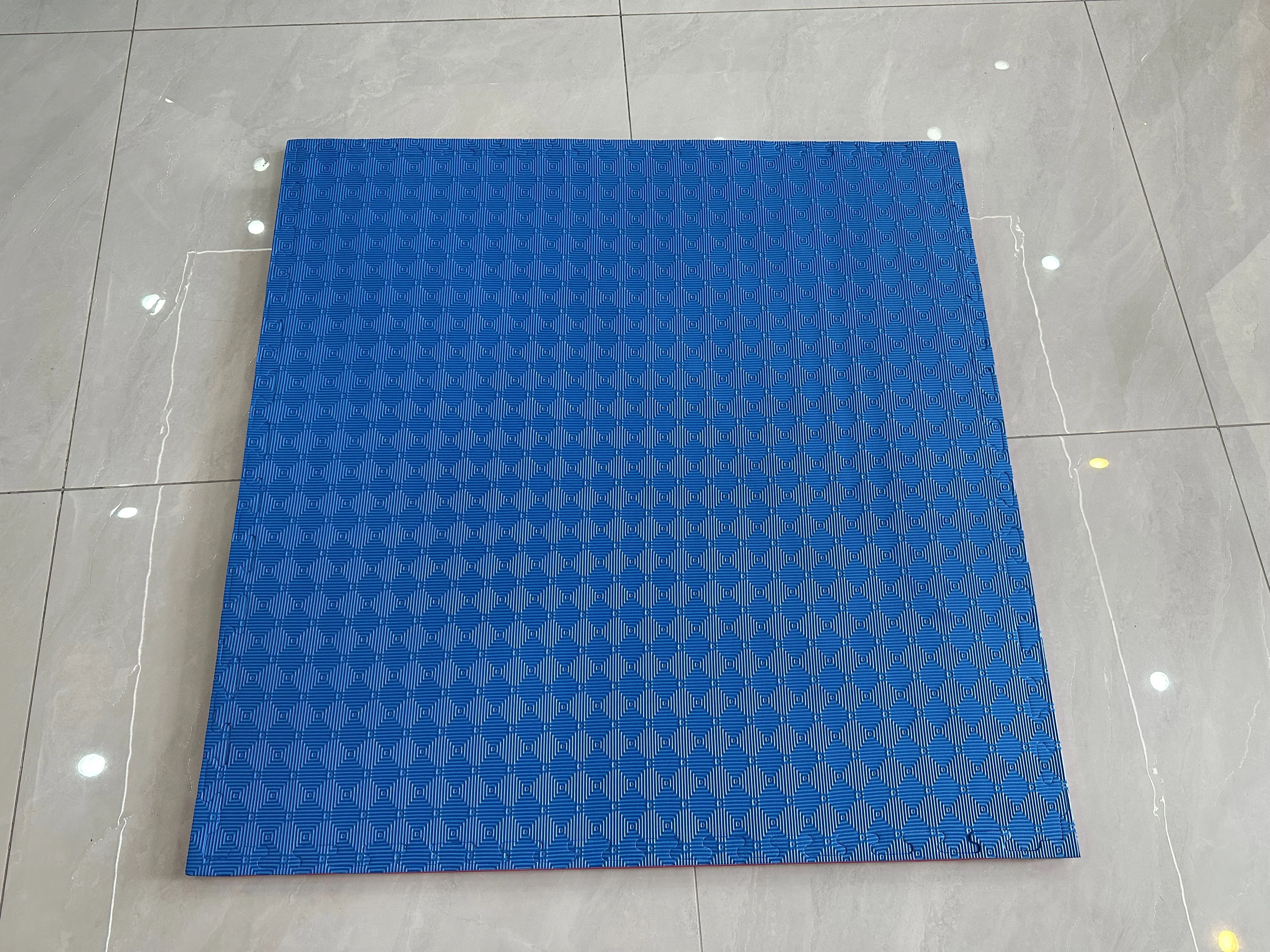Professional Wushu Eva Foam Floor Tatami Mat Judo Taekwondo Puzzle Mat