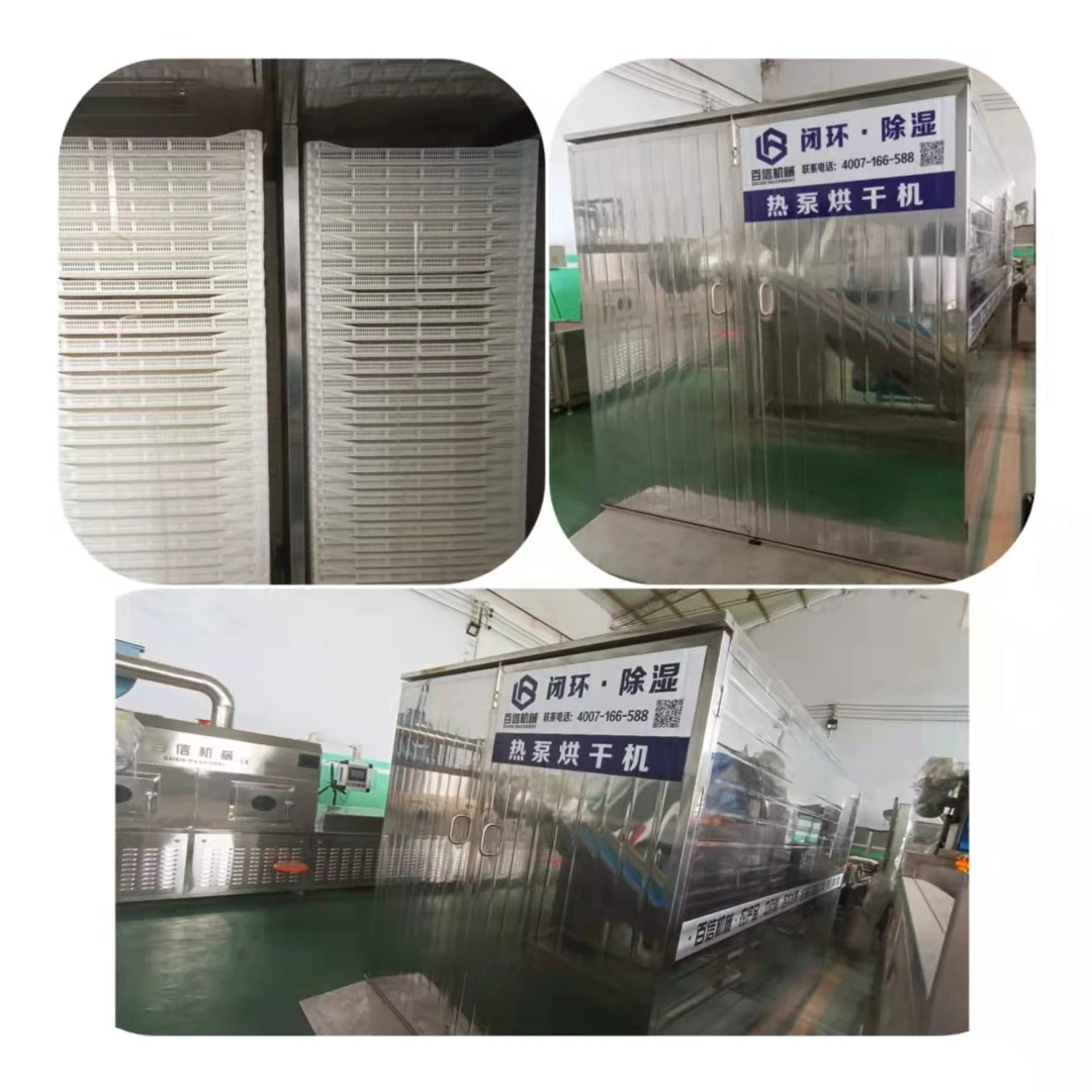 Hot Air Drying Vegetables Fruits Dryer Machine Oven Machine Heat Pump Dryer For Sale