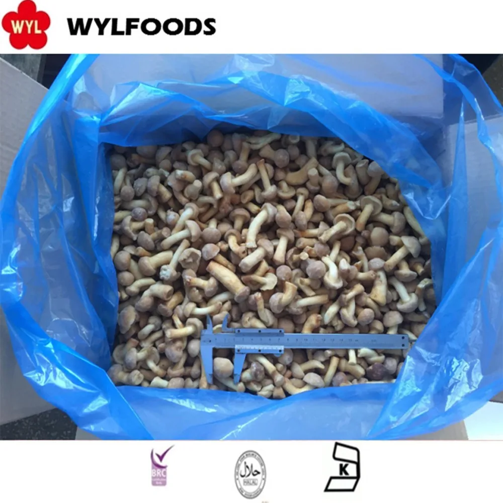Новый сезон замороженных грибов nameko