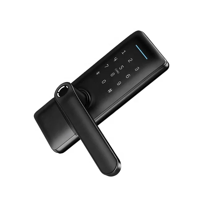Philippine Electronic Fingerprint Digital Remote Control Door Lock