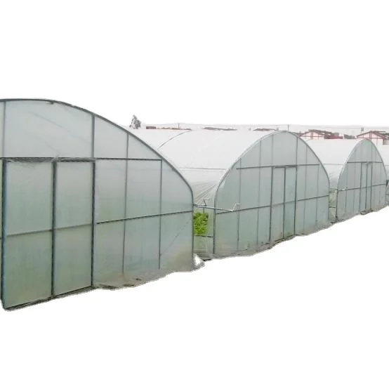 One one  Best-selling Garden Agricultural Greenhouse/sun Room/ Film Greenhouse - Buy Greenhouse