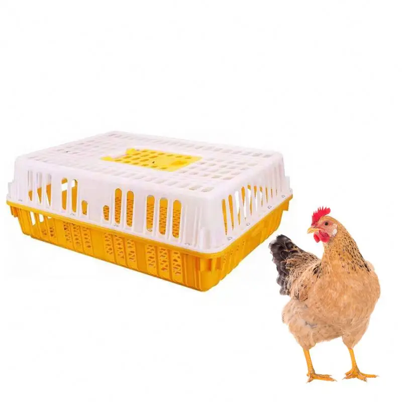 
chicken crate poultry transport cage chicken coop cages for layers 