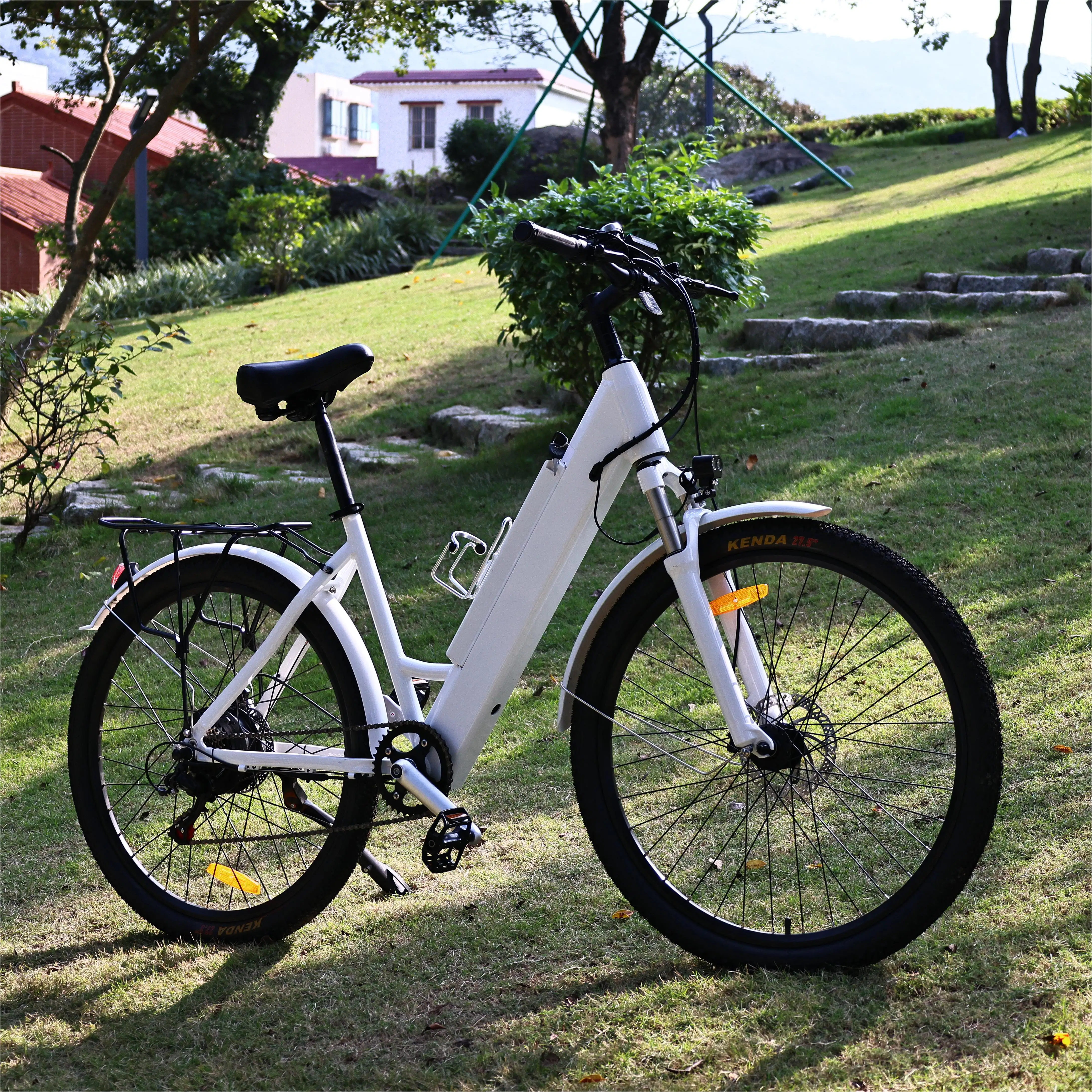 smart motor electric bike Torque basic PAS sensors pedal assistance 30-200 NM electric bike pedal assistant