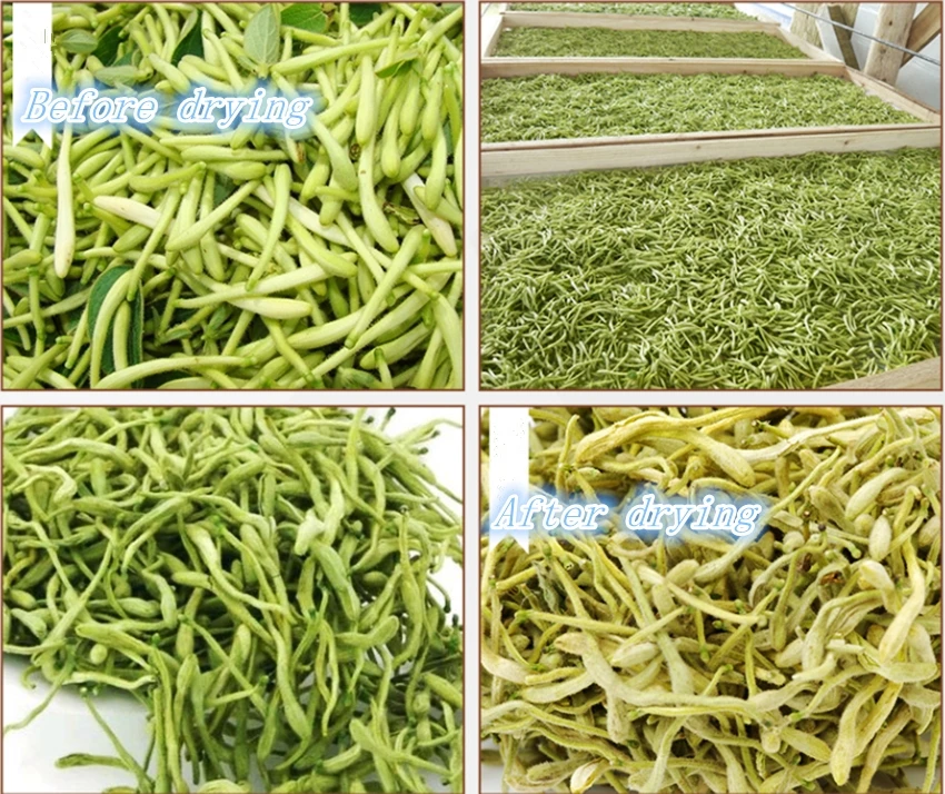 
Plastic for wholesales fruit and vegetable cutting machine 