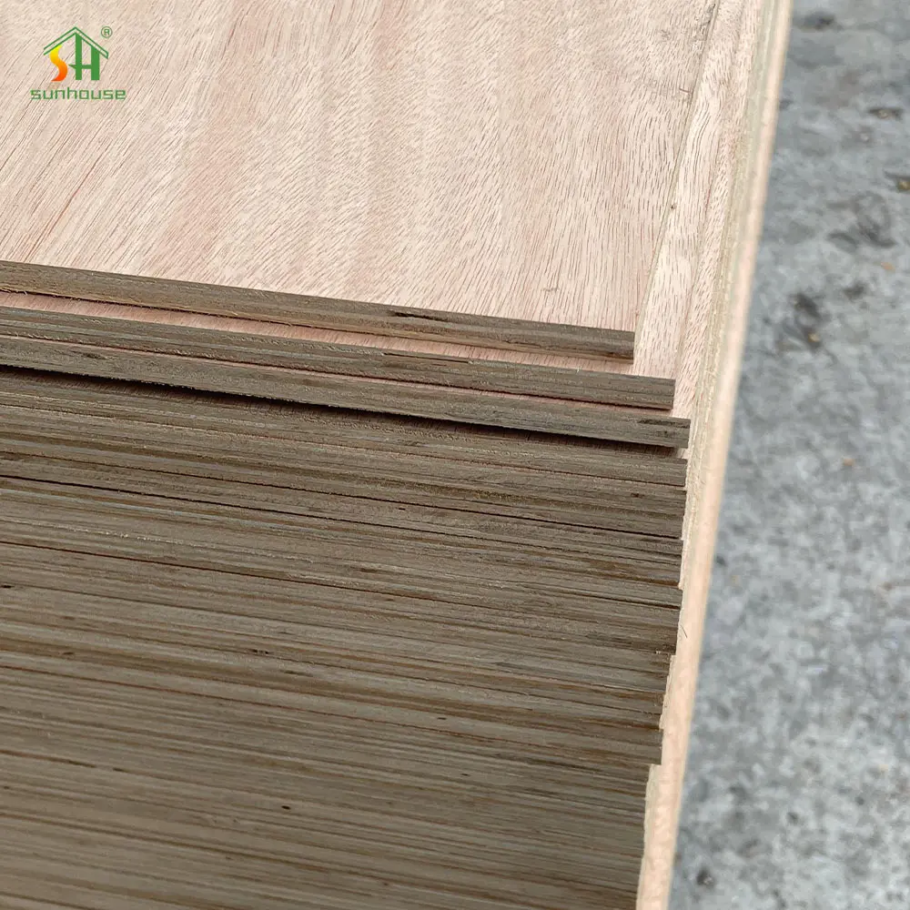 Modern Apartment Plywood 3Mm Commercial Plywood Sheet Board