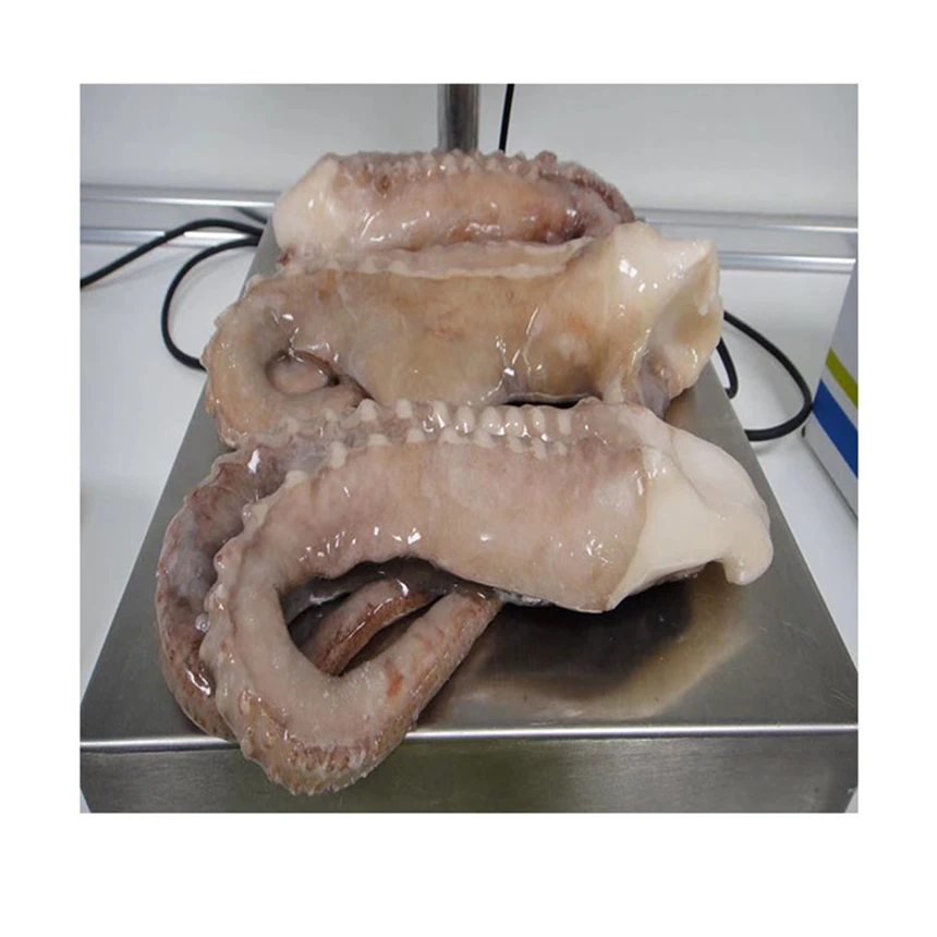 Good tasty freezing process frozen bqf giant squid tentacle,seafood processing for frozen squid tentacle