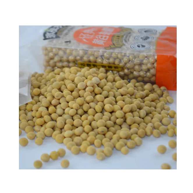 Top Quality Soya Bean Non Gmo Yellow Bean High Sprouting Rate Yellow Soybean