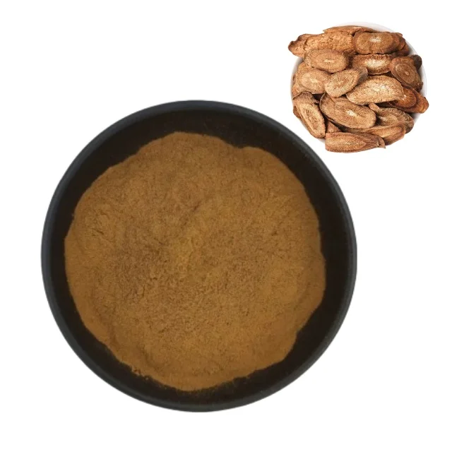 High Quality Pure Natural Burdock Root Extract