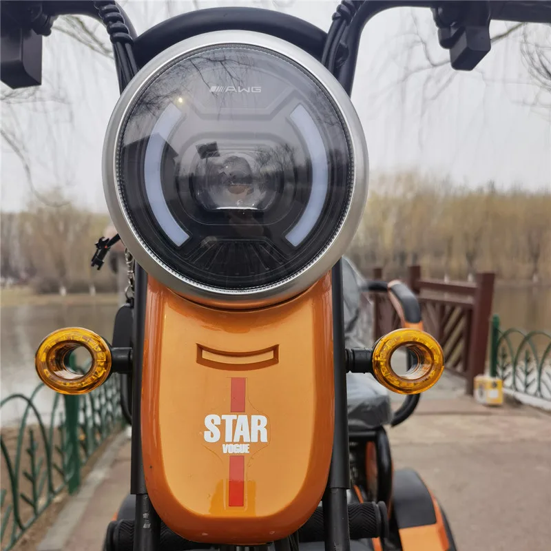  Универсальный взрослый Электрический трехколесный велосипед 48v60v который может переносить трех