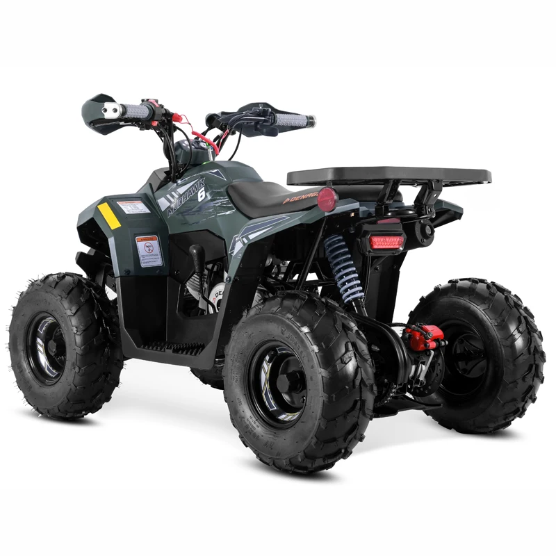 Tao Motor 2025 New ATV Quad Bike Cuatrimoto Cheap Chinese Kids 110cc ATV with EPA CE