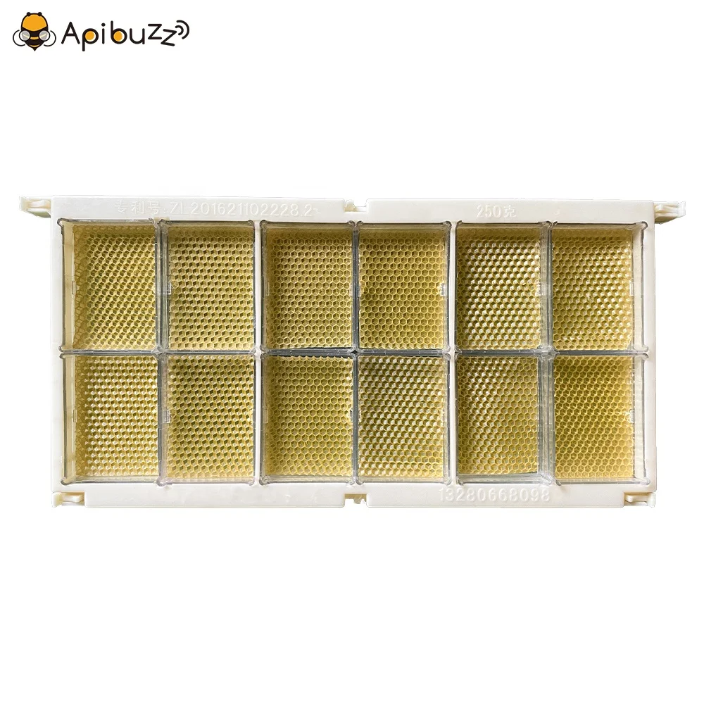250 гр. пластиковый гребень мед кадры и кассеты набор Honeycomb изготовления коробок для пчеловодства пчелиный улей поставки оборудования