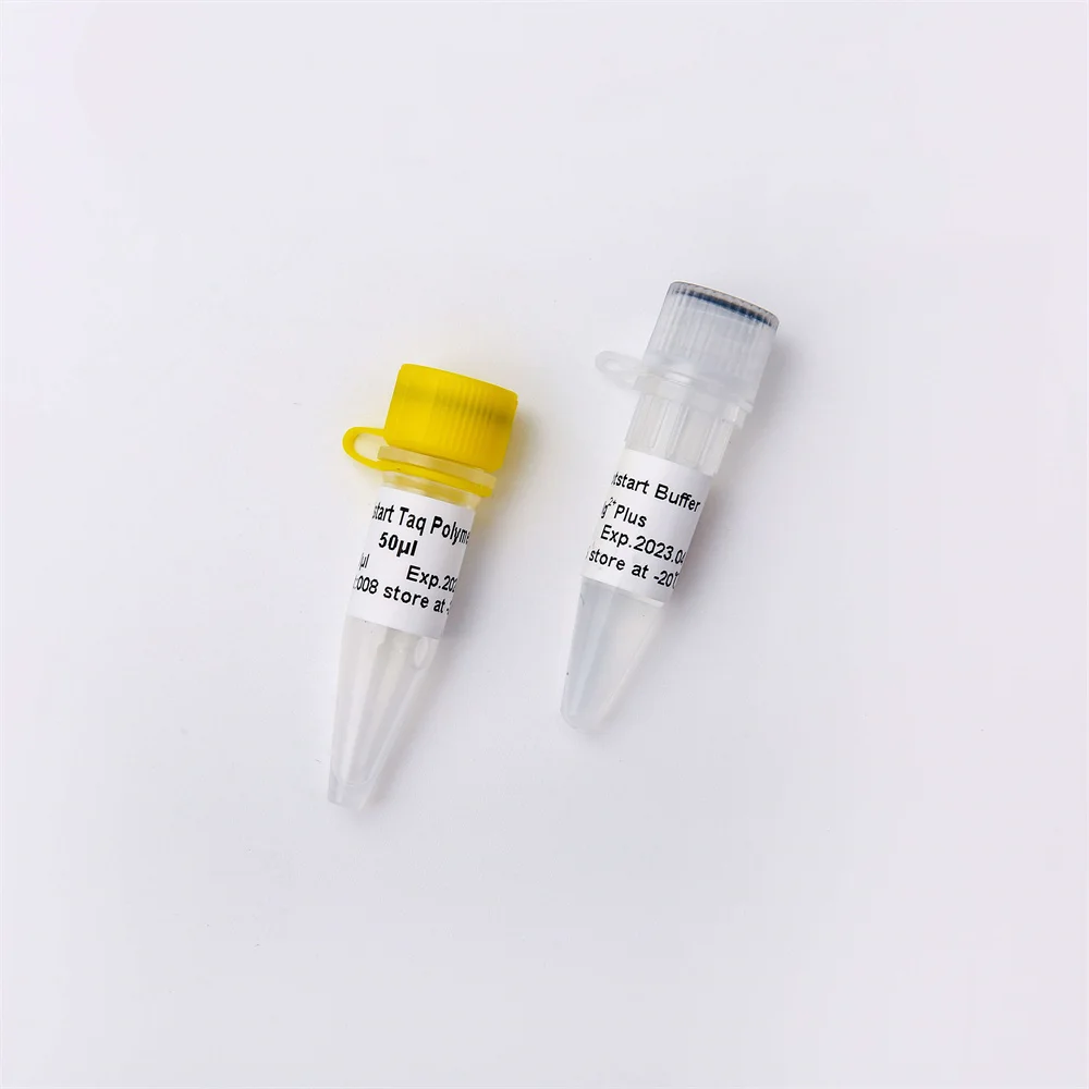 Hotstart Taq DNA Polymerase, PCR Test Reagent For DNA Amplification, Antibody Modified Enzyme P1091 500U