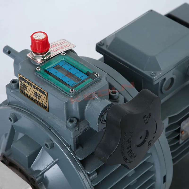 High Precision Factory Direct Supply SS304 316L Rotary Meat Transport Displacement Lobe Pump