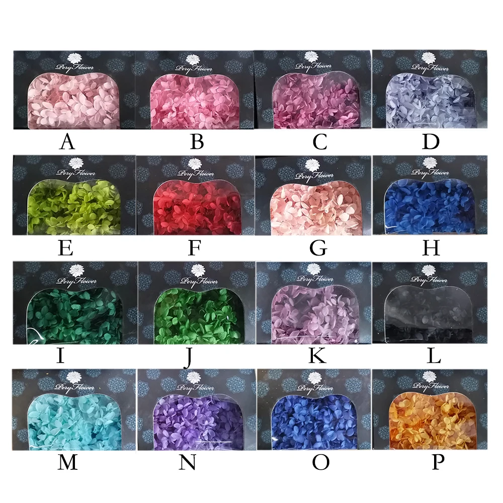 DIY Floral Arrangement Preserved flower Preserved Hydrangea 20g/box