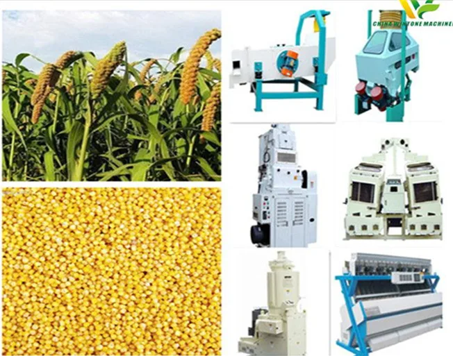 Innovative Technology Sieving Flour Process Millet Processing Machine