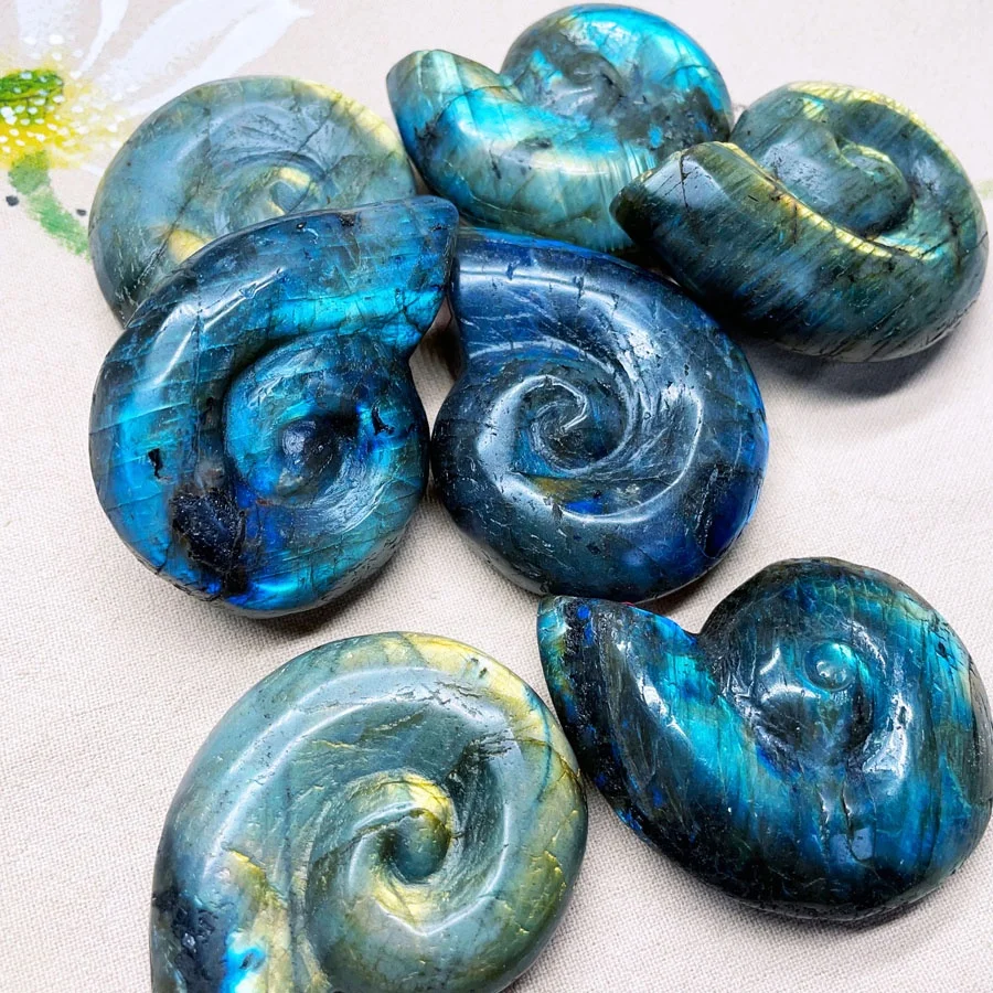 Hand Carved Labradorite Ammonite Conch Fossil for Collection Gifts Mineral Specimen