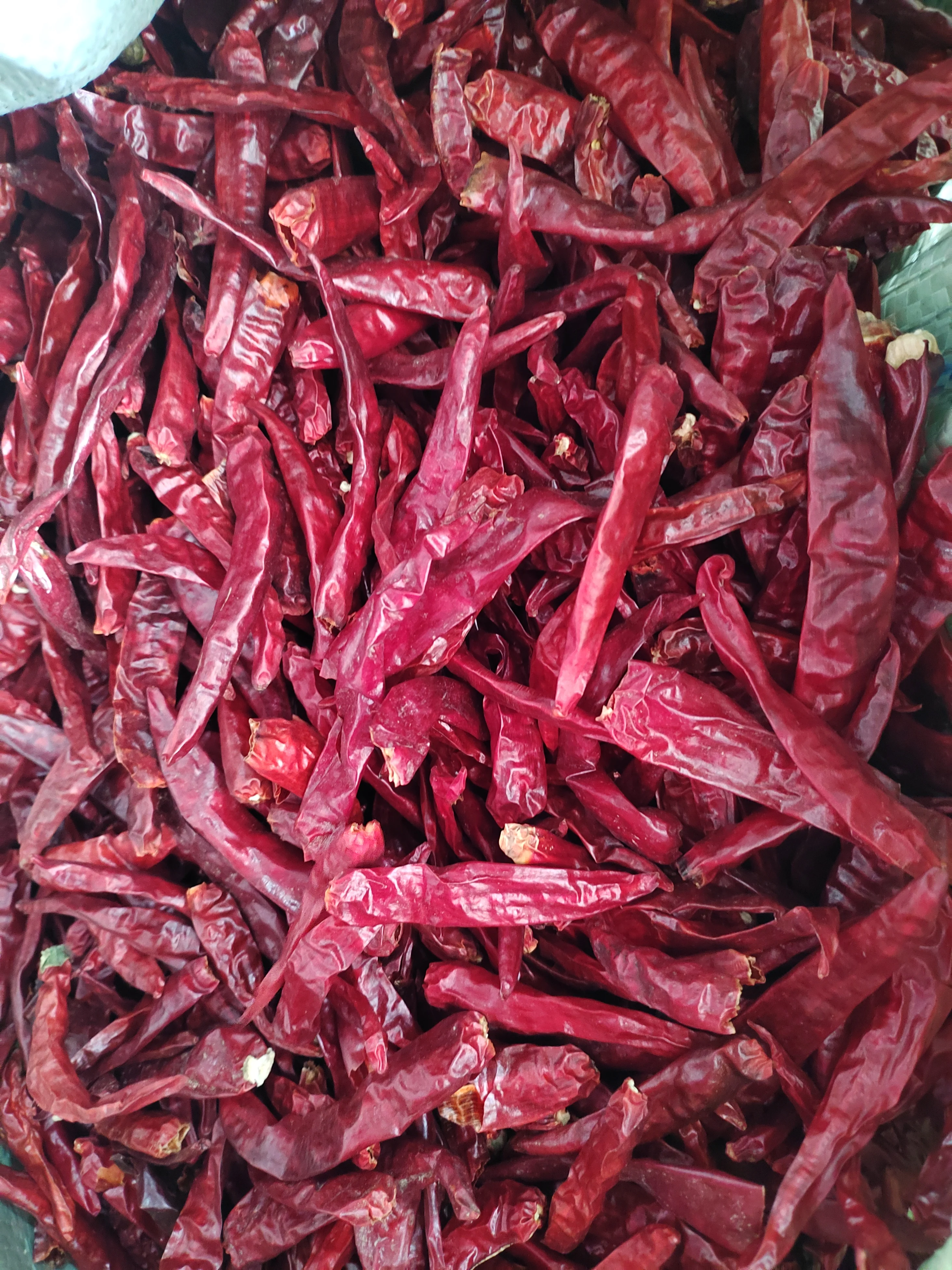 Dried Red Chili Spicy Food Variety in Bulk Packaging for Adding Flavor to Your Dishes