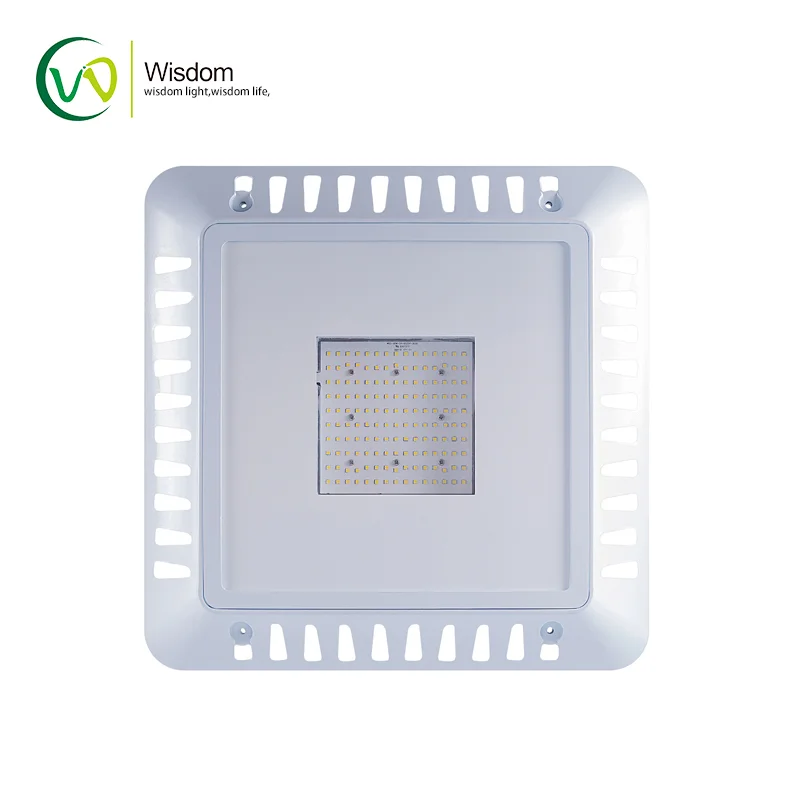 DLC Ensure product quality and price to customers 95/120W  Gas station Canopy Outdoor  IP65  5 Years Warranty