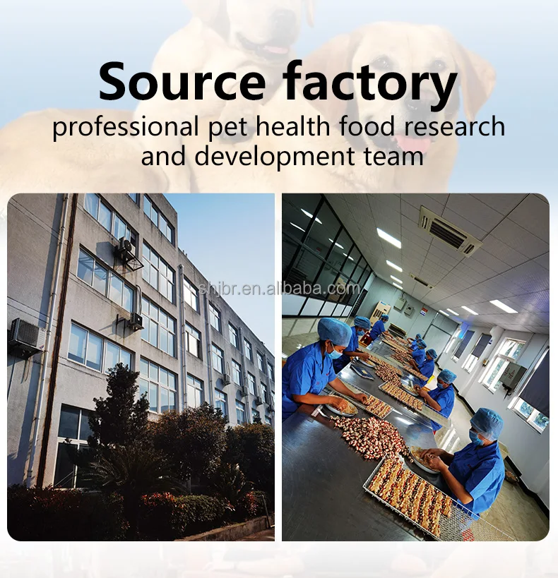 Eco-Friendly Pet Food Factory Suppliers Dog Treats Chewing Toys Snack Customized Chew Teeth Cleaning Toy Bones