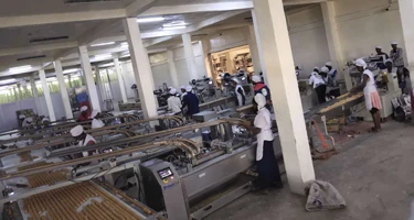 biscuit sandwich machine