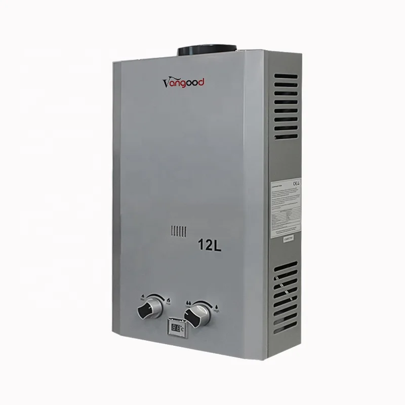 Wholesale Price Domestic Instant Propane Tankless Flue Type Gas Water Heater