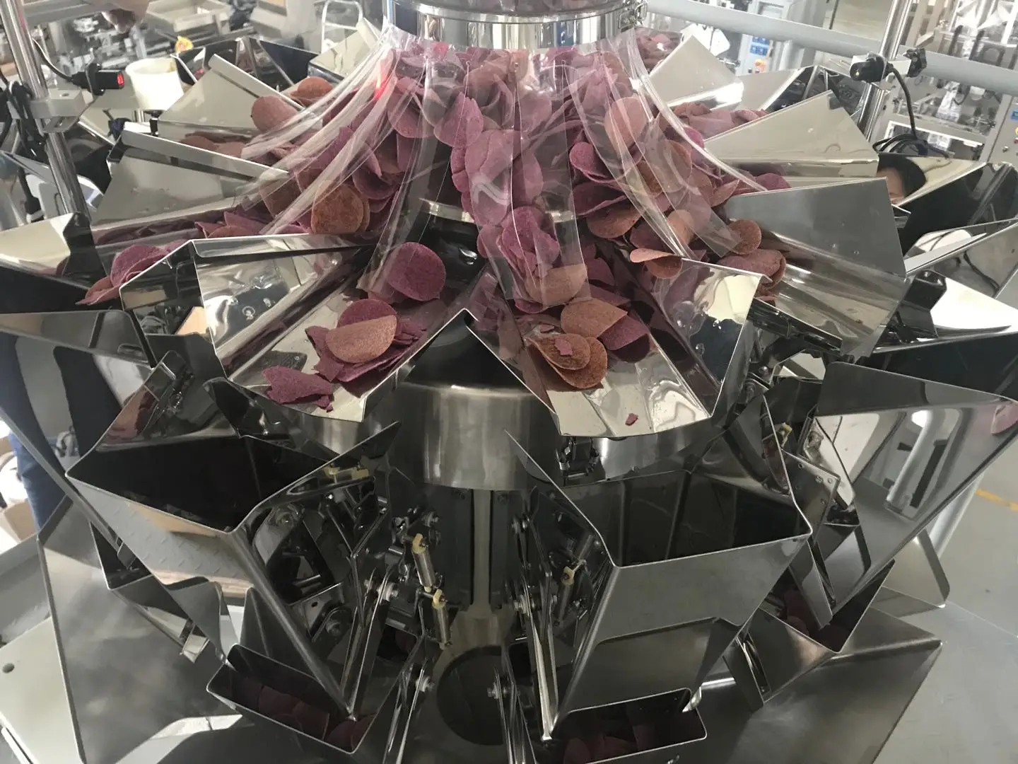 Stainless Steel Pizza Snack Biscuit Cookie Automatic Food Pouch Multi-Function Packaging Machines