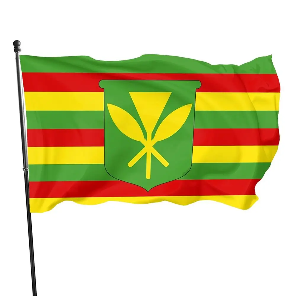 Advertising Custom Country Sports International Flags 3x5ft Printing Cheerleading World Outdoor All Countries Big National Flag