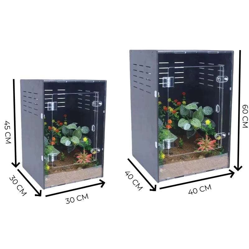 Customizedized Spider Scorpion Horn Frog Lizard Transparent Acrylic Feeding Box Crawling Pet Reptile Cage