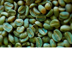 Brazil Washed Process Quality Arabica Green Coffee Beans Raw Beans Wholesale