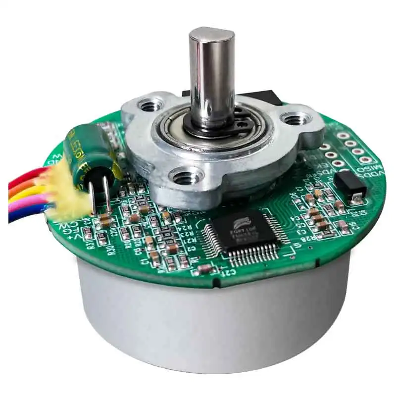 12V BLDC Fan Motor, 36V 6000rpm Brushless Heavy Duty & 80W Brushless DC Motor Customizable