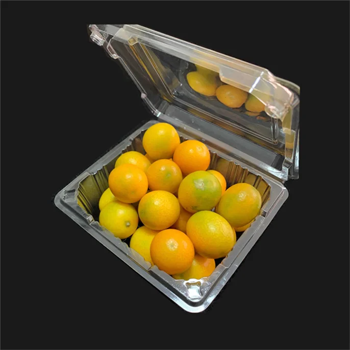Hot sell vegetables or fruit box trays packing fruit sushi takeout box from professional manufacturer